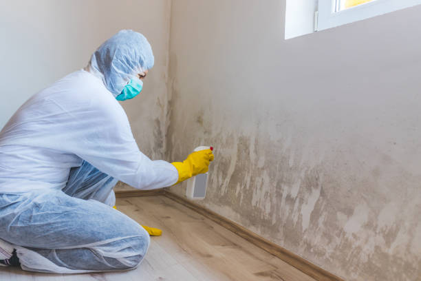 Mold inspector in Benzonia performing thermal imaging